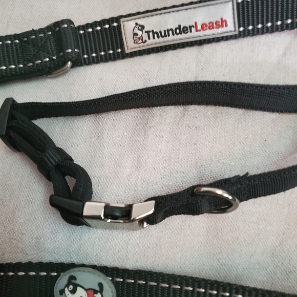 NWOT Thunderleash and collar - Picture 4 of 6